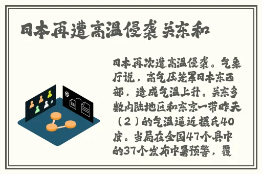 剩女的时代全集